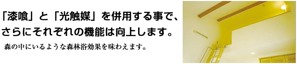 「漆喰」と「光触媒」を併用する事で、さらにそれぞれの機能は向上します。森の中にいるような森林浴効果を味わえます。
